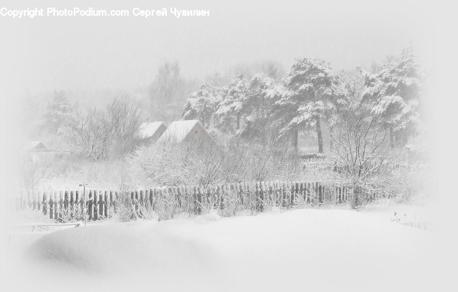 Blizzard, Outdoors, Snow, Weather, Winter, Ice