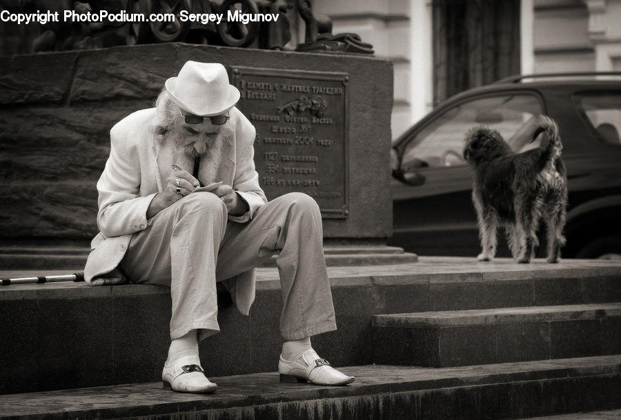 People, Person, Human, Animal, Canine, Dog, Mammal