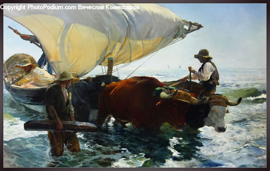 Angus, Animal, Bull, Mammal, Art, Painting, Cattle