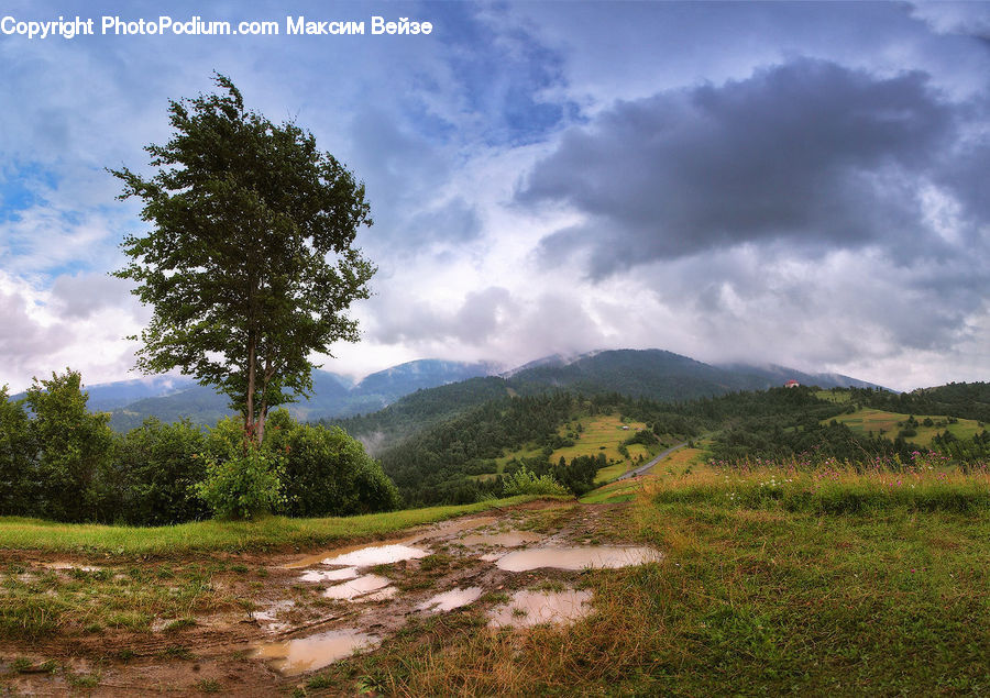 Dirt Road, Gravel, Road, Outdoors, Plateau, Grassland, Mound