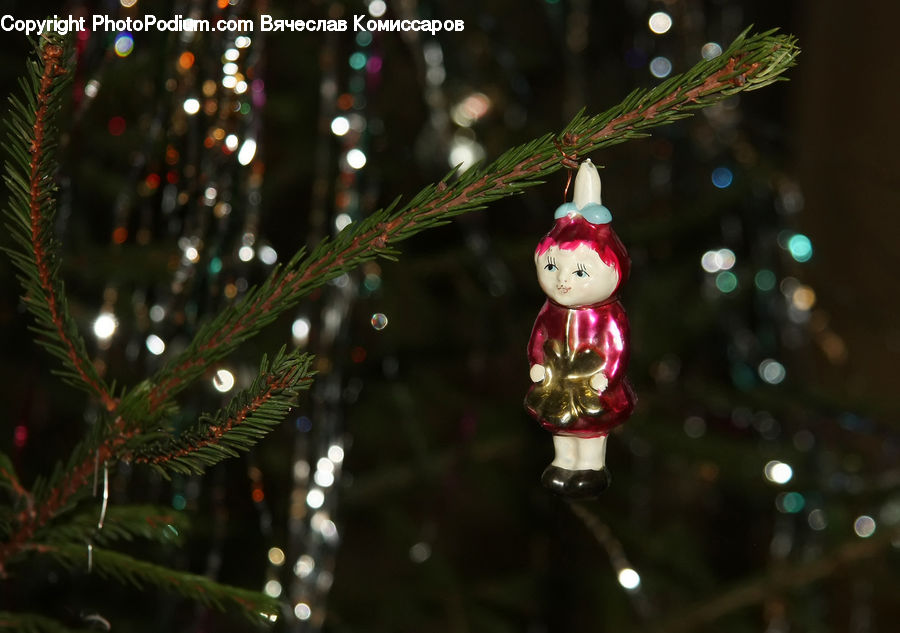 Ornament, Conifer, Fir, Plant, Tree, Figurine, Flare