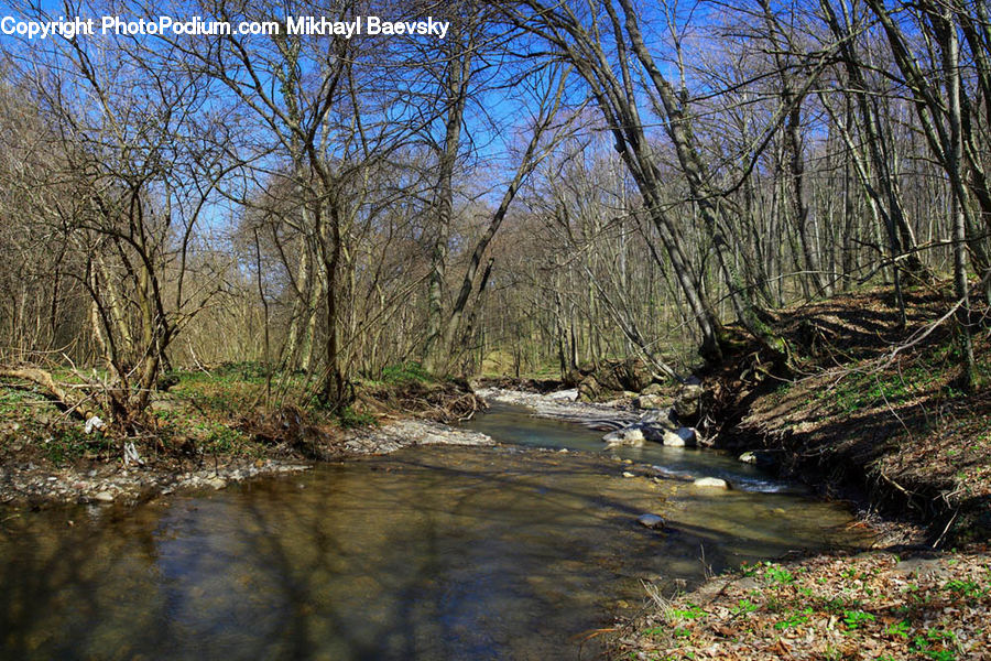 Creek, Outdoors, River, Water