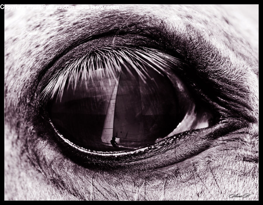 Hole, Head, Portrait, Face