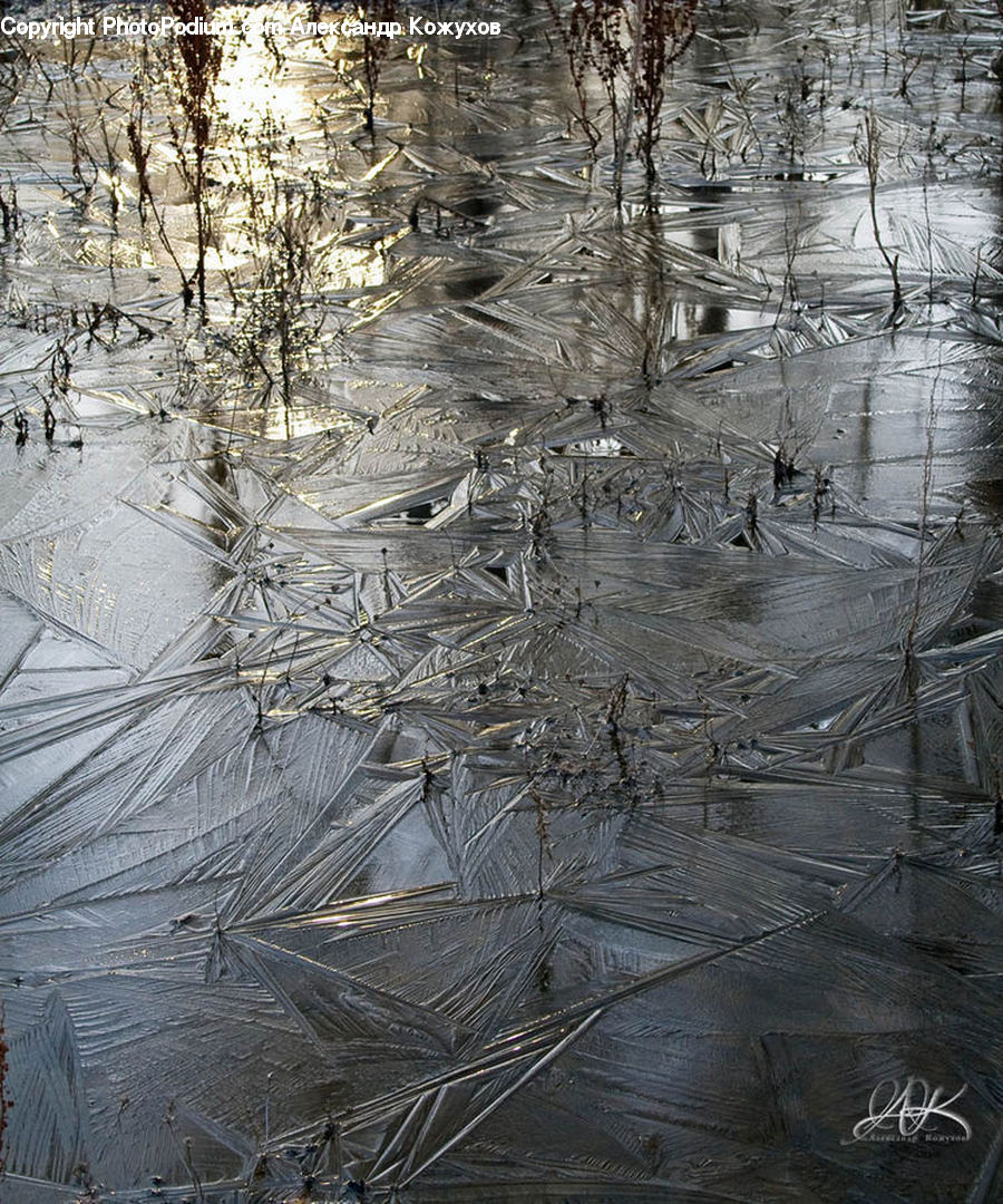 Frost, Ice, Outdoors, Snow, Land, Marsh, Pond