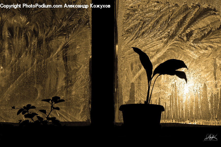 Silhouette, Chair, Furniture, Bird, Blackbird, Crow, Crypt