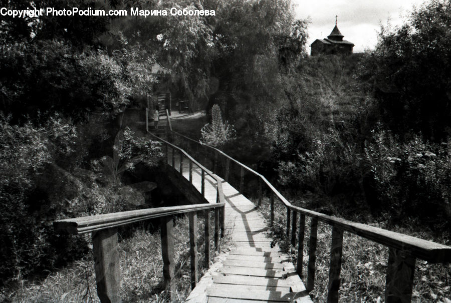 Boardwalk, Deck, Path, Sidewalk, Walkway, Trail, Mining