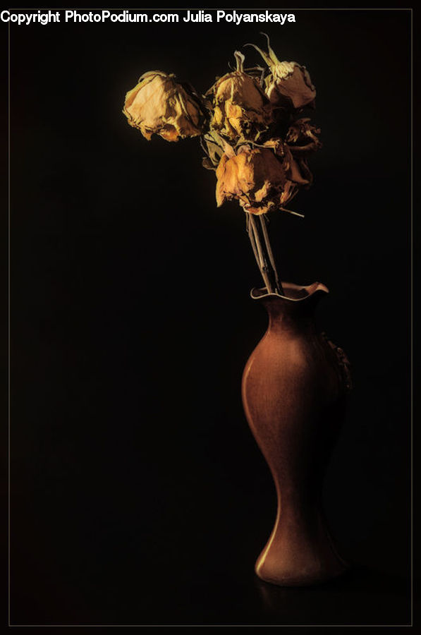 Glass, Goblet, Flower Arrangement, Ikebana, Plant, Potted Plant, Vase