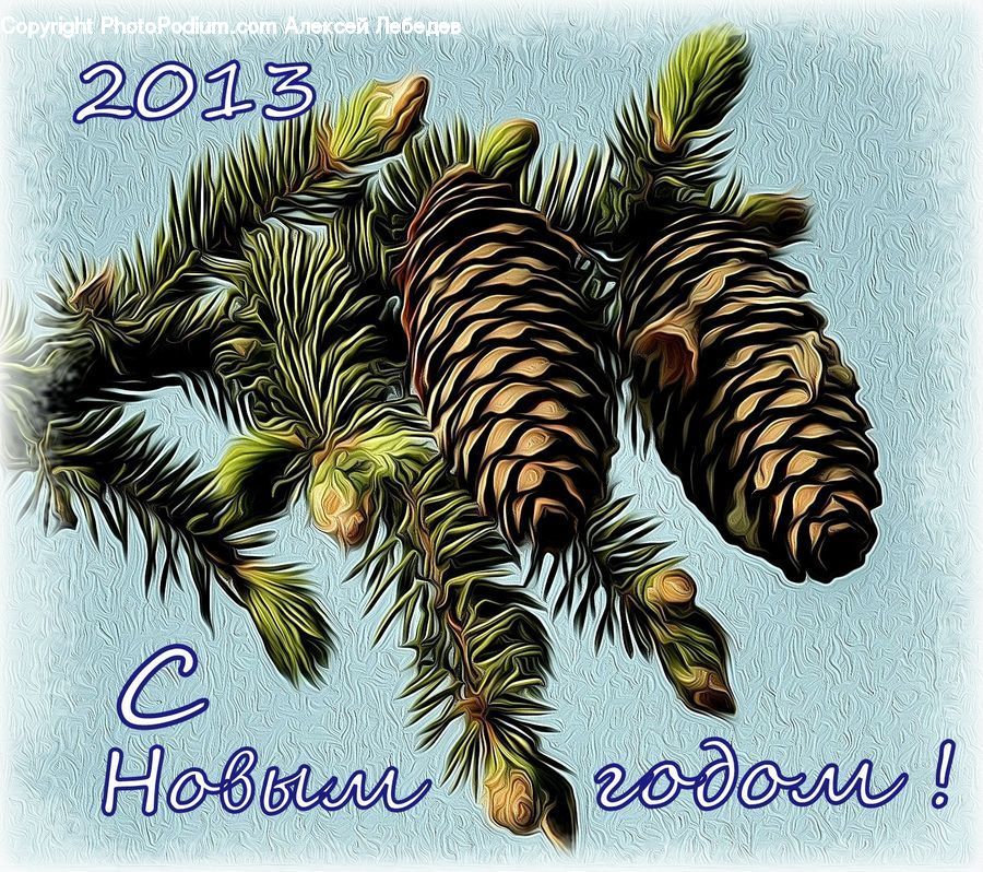 Conifer, Fir, Plant, Tree, Fern, Wood, Yew