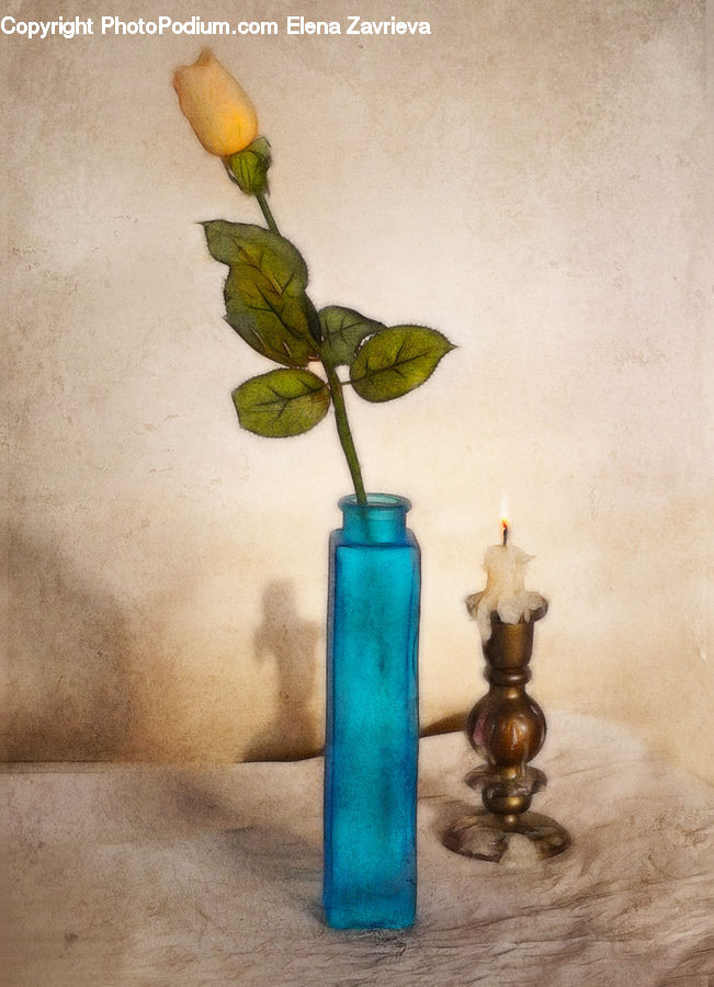 Flower Arrangement, Ikebana, Plant, Potted Plant, Vase, Accessories, Acanthaceae