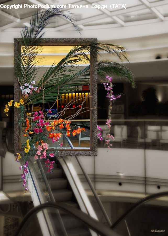 Plant, Potted Plant, Banister, Handrail, Flower Arrangement, Ikebana, Vase