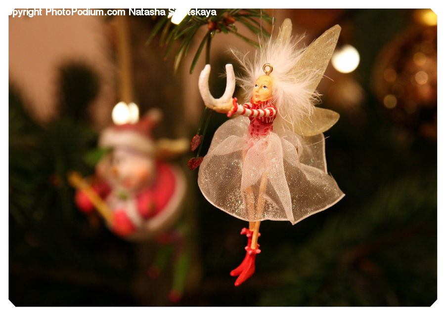 Ornament, Flora, Flower, Hibiscus, Plant, Poppy, Lighting