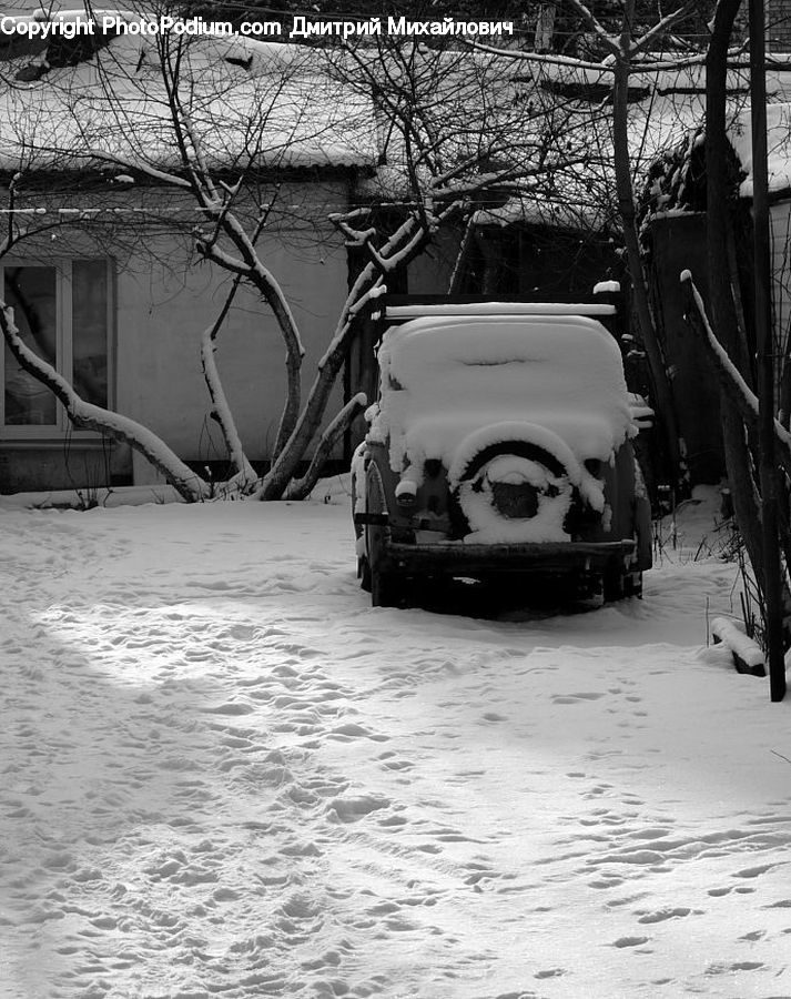 Ice, Outdoors, Snow, Plant, Tree, Car, Van
