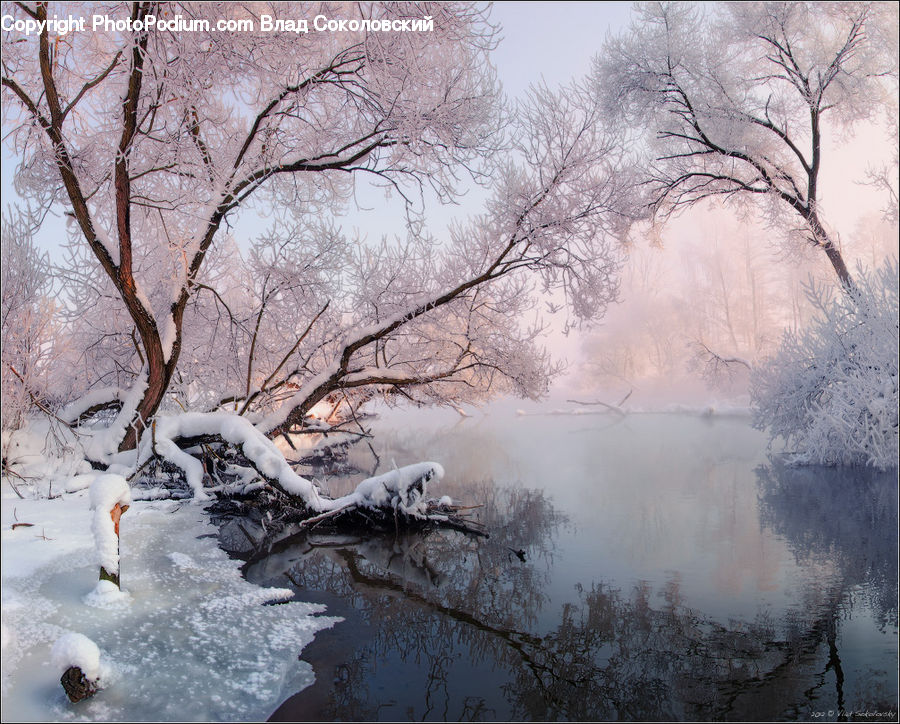 Frost, Ice, Outdoors, Snow, Landscape, Nature, Scenery
