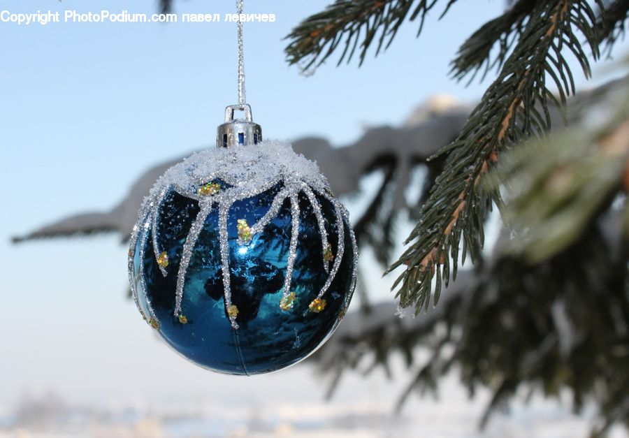 Conifer, Fir, Plant, Tree, Ball, Sphere, Pine