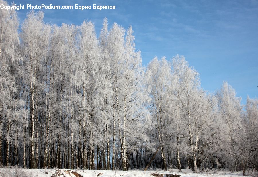Frost, Ice, Outdoors, Snow, Landscape, Nature, Scenery