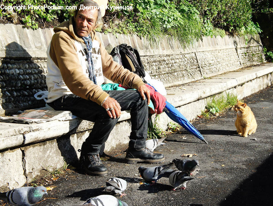People, Person, Human, Bird, Pigeon, Footwear, Shoe