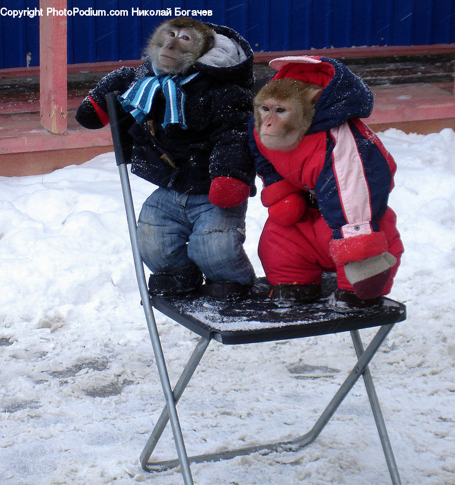 People, Person, Human, Sled, Furniture