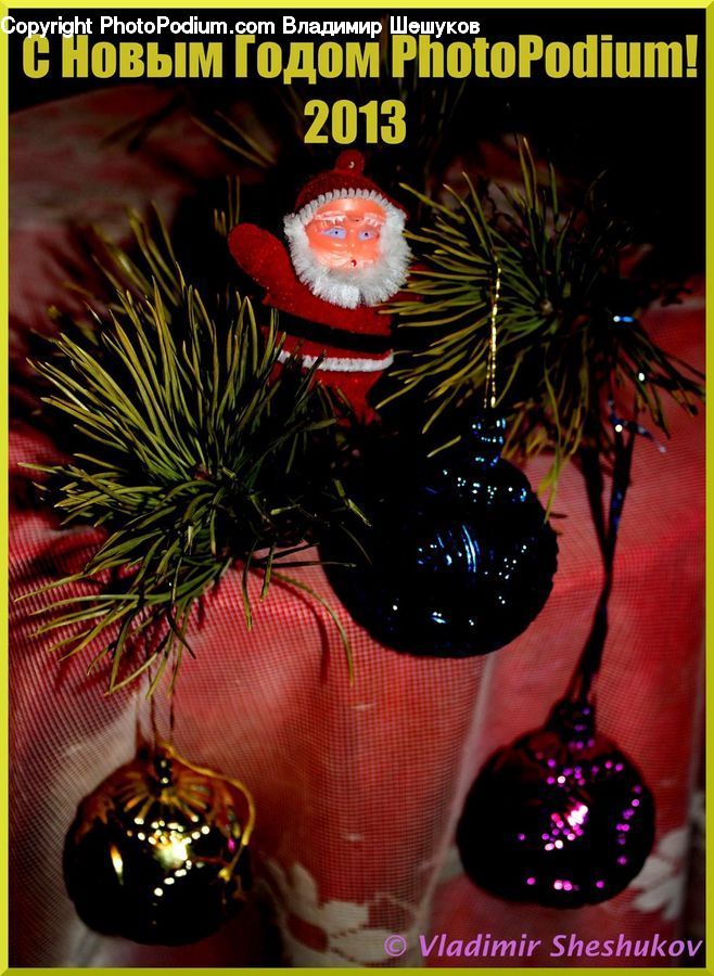 Plant, Potted Plant, Ornament, Brochure, Flyer, Poster, Glass