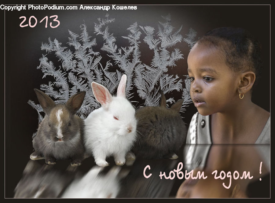 People, Person, Human, Animal, Bunny, Hare, Mammal