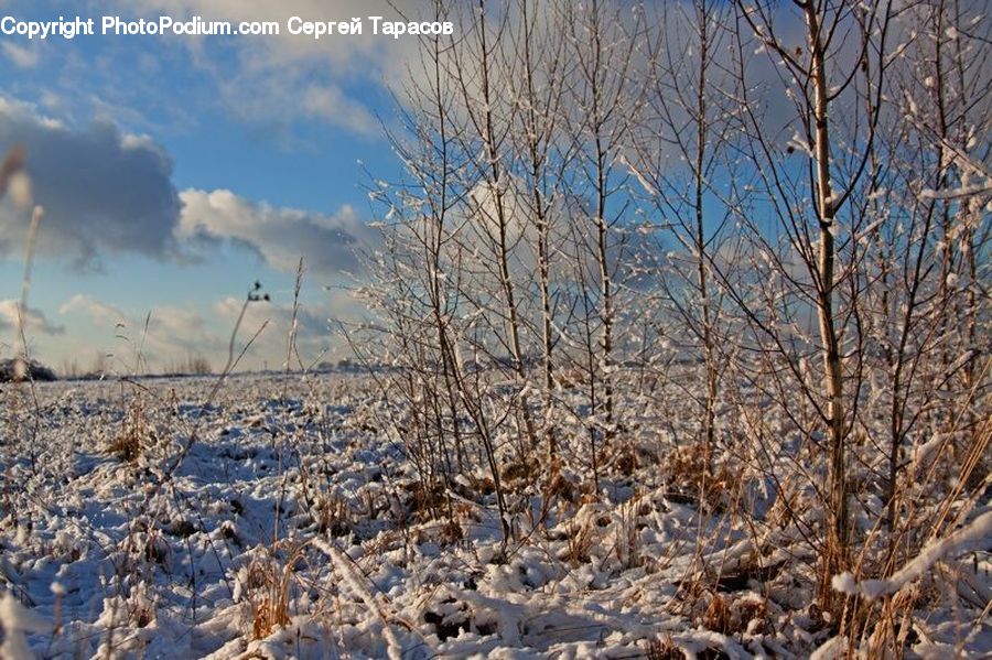 Frost, Ice, Outdoors, Snow, Land, Plateau, Tundra