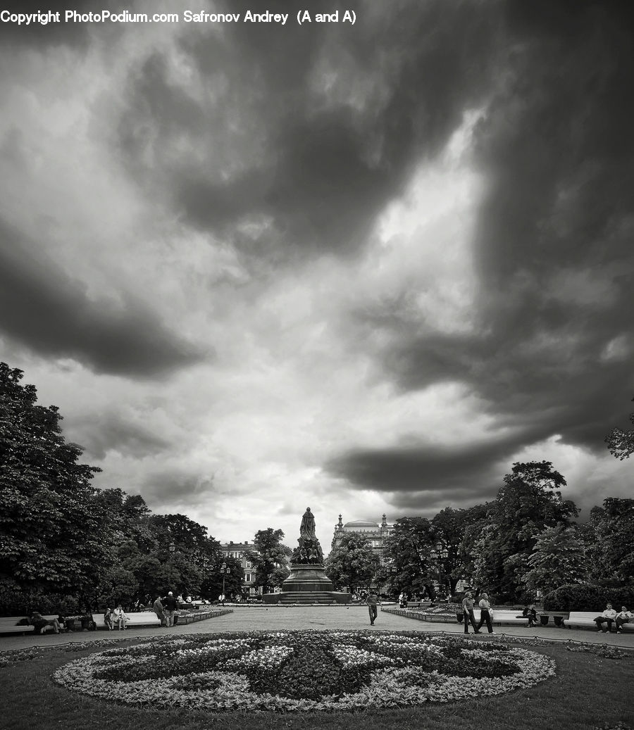 Plant, Tree, Outdoors, Storm, Weather, Cloud, Cumulus
