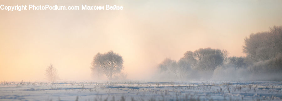 Blizzard, Outdoors, Snow, Weather, Winter, Landscape, Nature