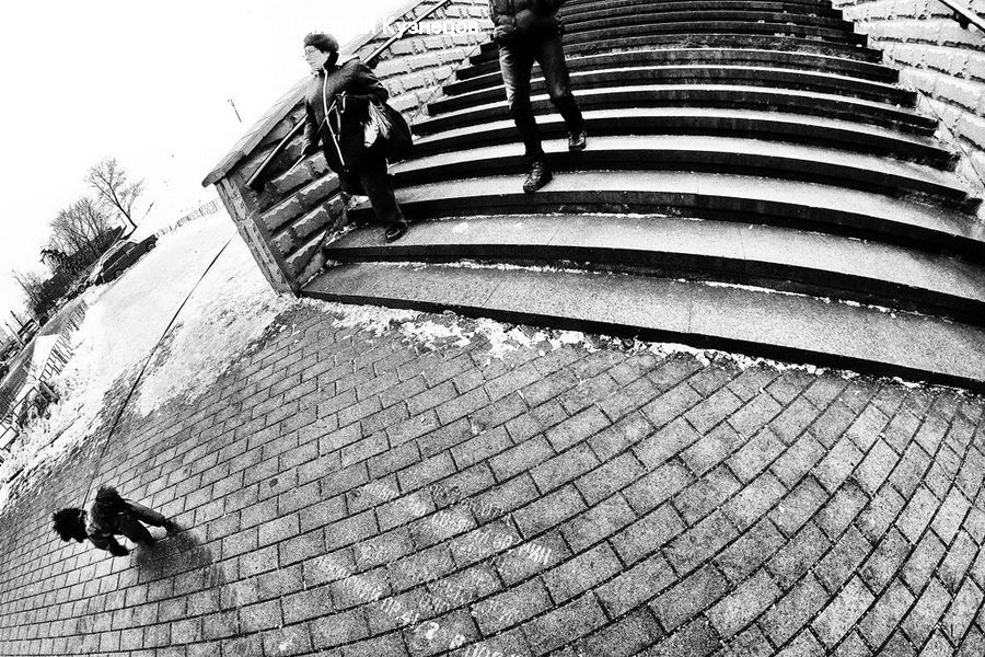 Asphalt, Road, Zebra Crossing, Brick, Pedestrian, Person, Roof