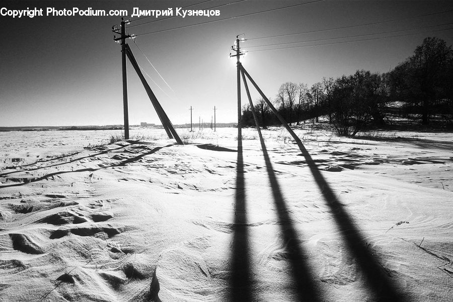 Outdoors, Sand, Soil, Ice, Snow, Plant, Tree