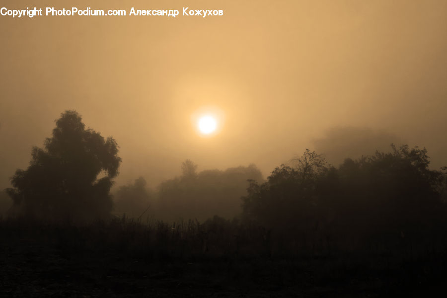 Fog, Mist, Outdoors