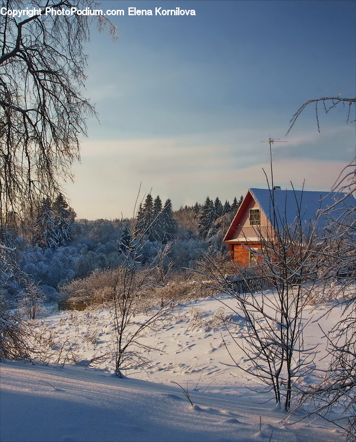 Kite, Building, Housing, Villa, Cottage, Cabin, Hut
