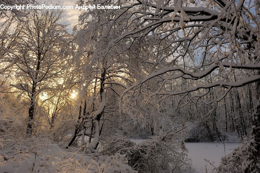 Ice, Outdoors, Snow, Frost, Landscape, Nature, Scenery