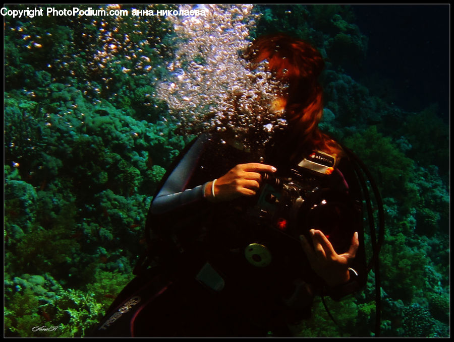 Glass, Diver, Diving, Sport, Water, Person, Forest