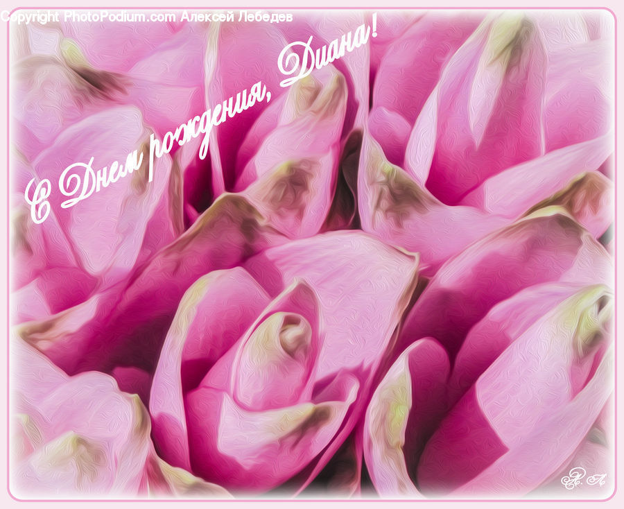 Flora, Flower, Gladiolus, Plant, Flower Arrangement, Flower Bouquet, Garlic