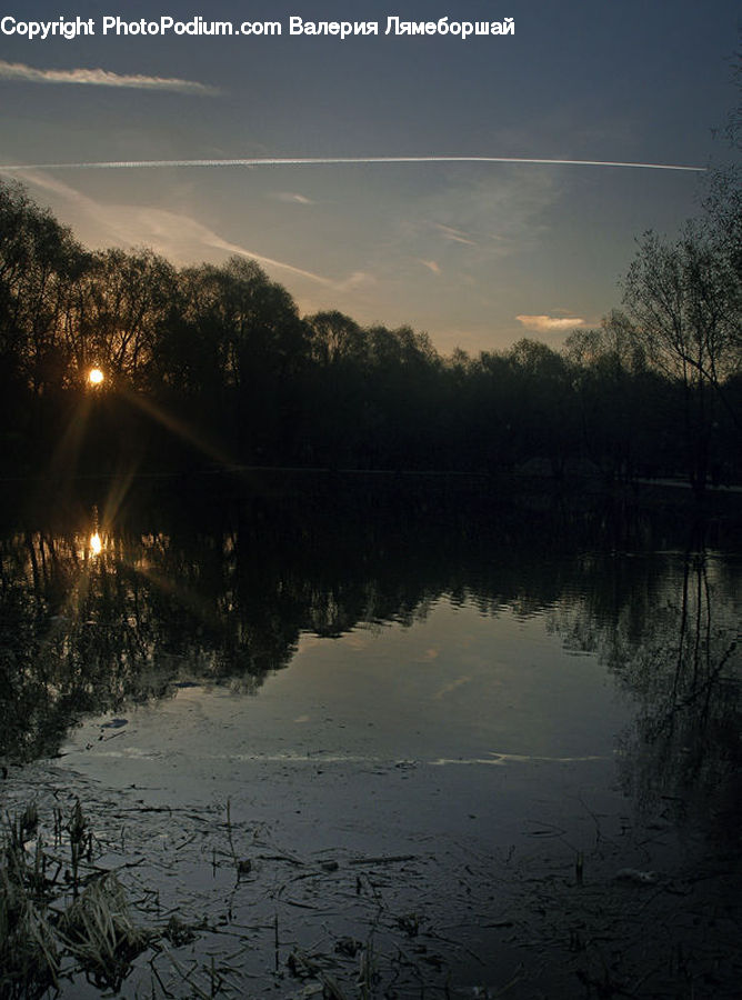 Flood, Outdoors, Ripple, Water, Forest, Vegetation, Plant