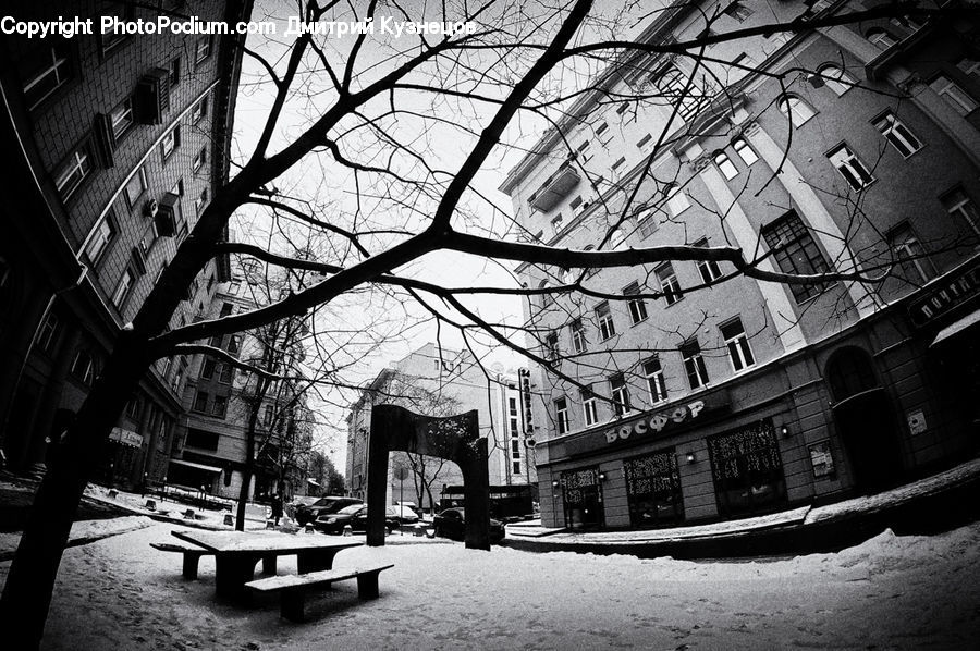 Bench, Alley, Alleyway, Road, Street, Town, City