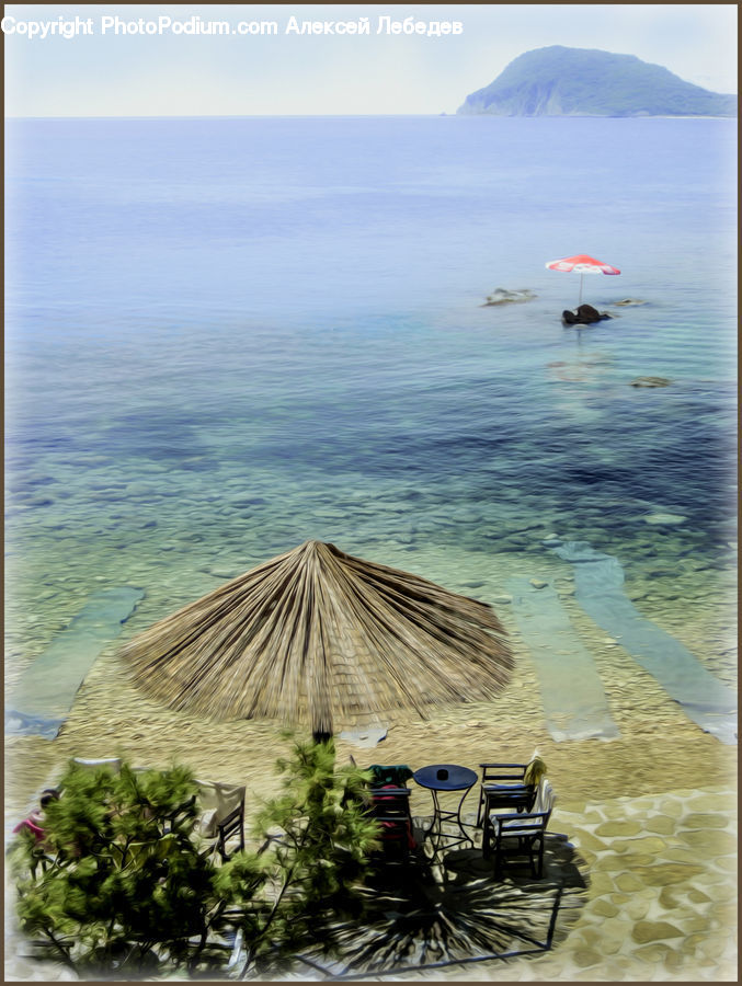 Plant, Potted Plant, Building, Hut, Shelter, Leisure Activities, Outdoors