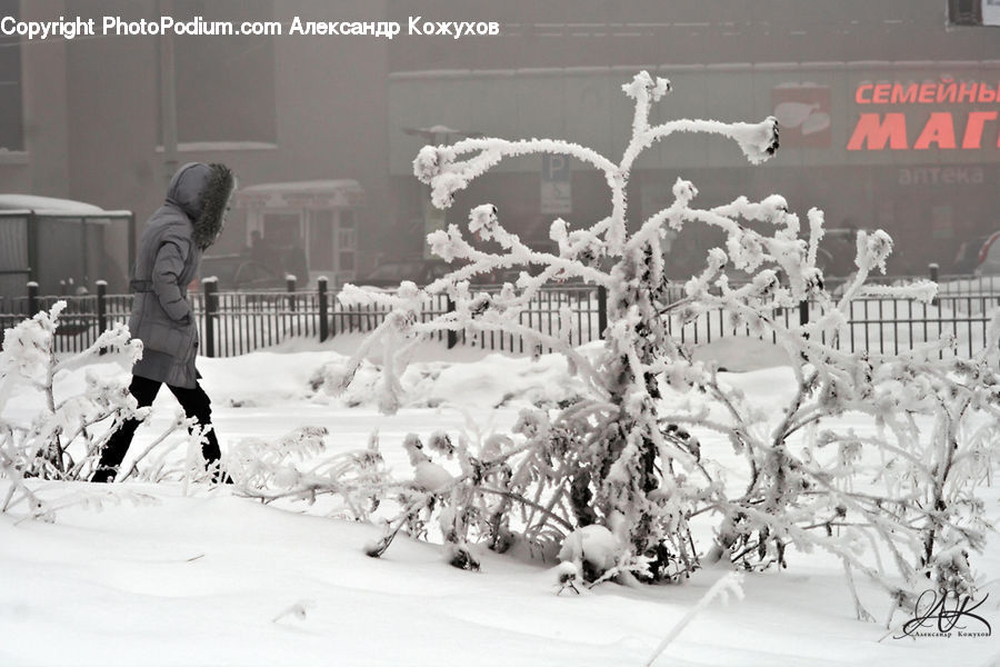People, Person, Human, Ice, Outdoors, Snow, Frost