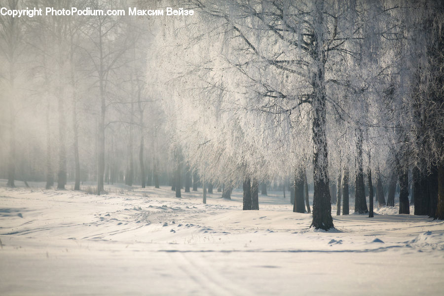 Blizzard, Outdoors, Snow, Weather, Winter, Landscape, Nature