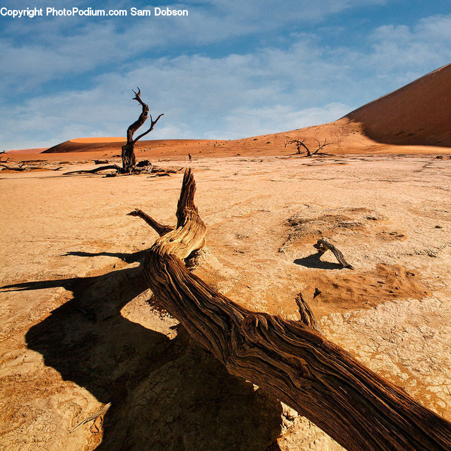 Desert, Outdoors, Tree Stump