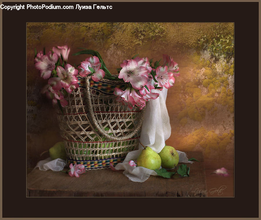 Flora, Flower, Gladiolus, Plant, Basket, Amaryllis, Blossom