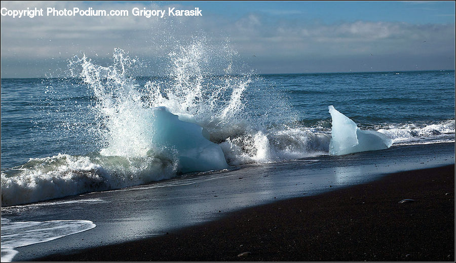 Outdoors, Sea, Sea Waves, Water, Beach, Coast, Animal
