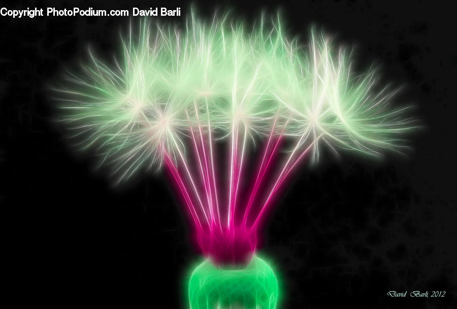 Fireworks, Night, Light, Neon