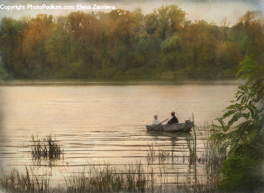 Boat, Canoe, Rowboat, Fern, Plant, Vessel, Grass