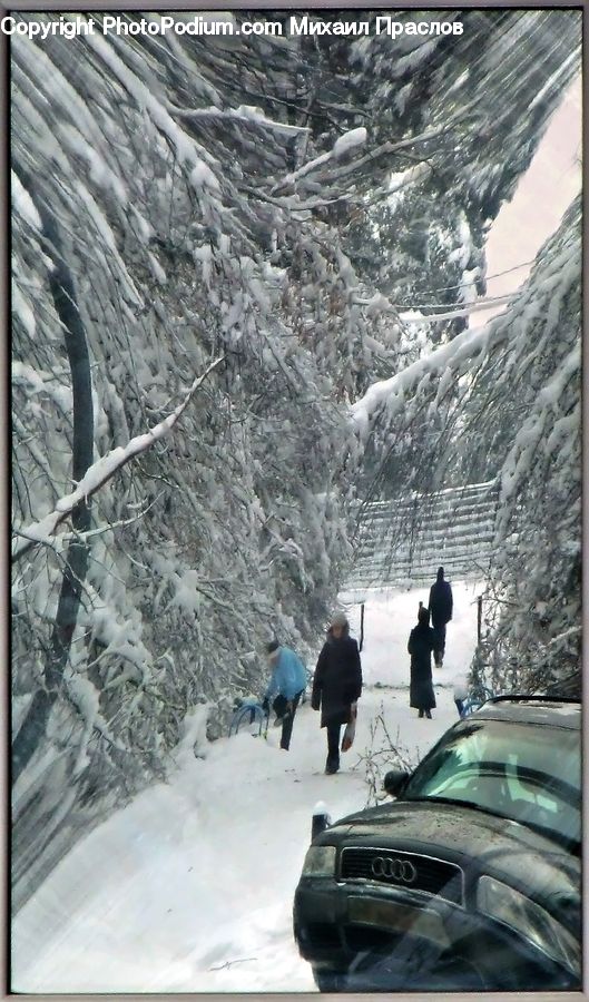 Automobile, Car, Vehicle, Ice, Outdoors, Snow, Alps