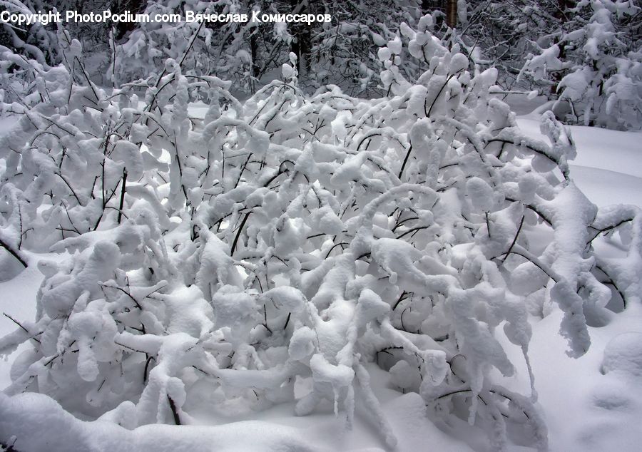 Ice, Outdoors, Snow