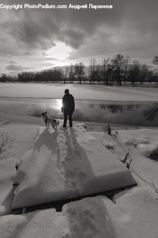 Outdoors, Sand, Soil, Ice, Snow, Animal, Canine