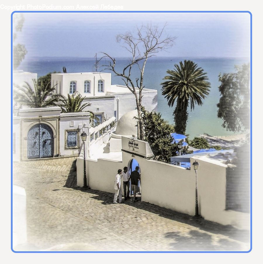 Building, Housing, Villa, Plant, Tree, Collage, Poster