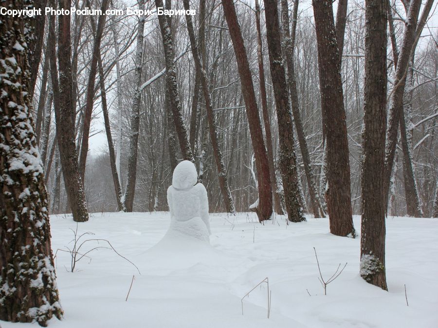 People, Person, Human, Ice, Snow, Snowman, Winter