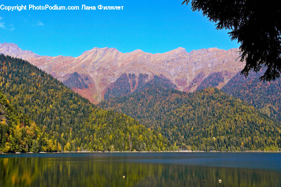 Crest, Mountain, Mountain Range, Outdoors, Peak, Nature, Conifer
