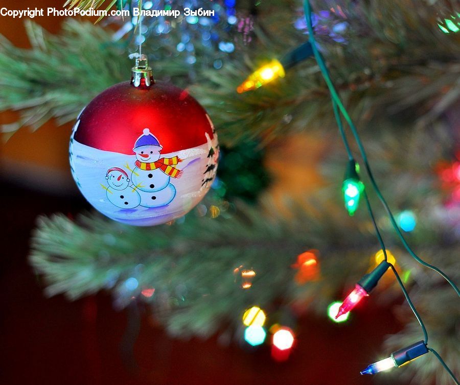 Ornament, Lighting, Conifer, Fir, Plant, Tree